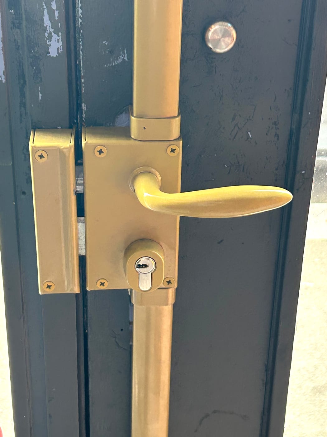 Gold handle set on a dark blue metal door