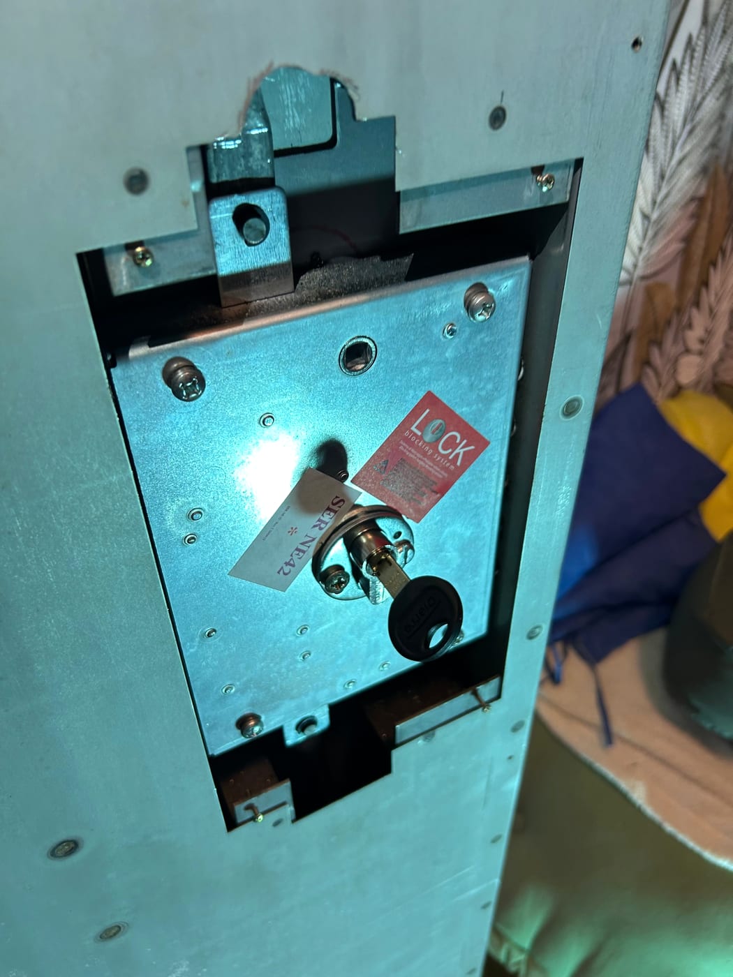 Metal mechanism set into the edge of a green door