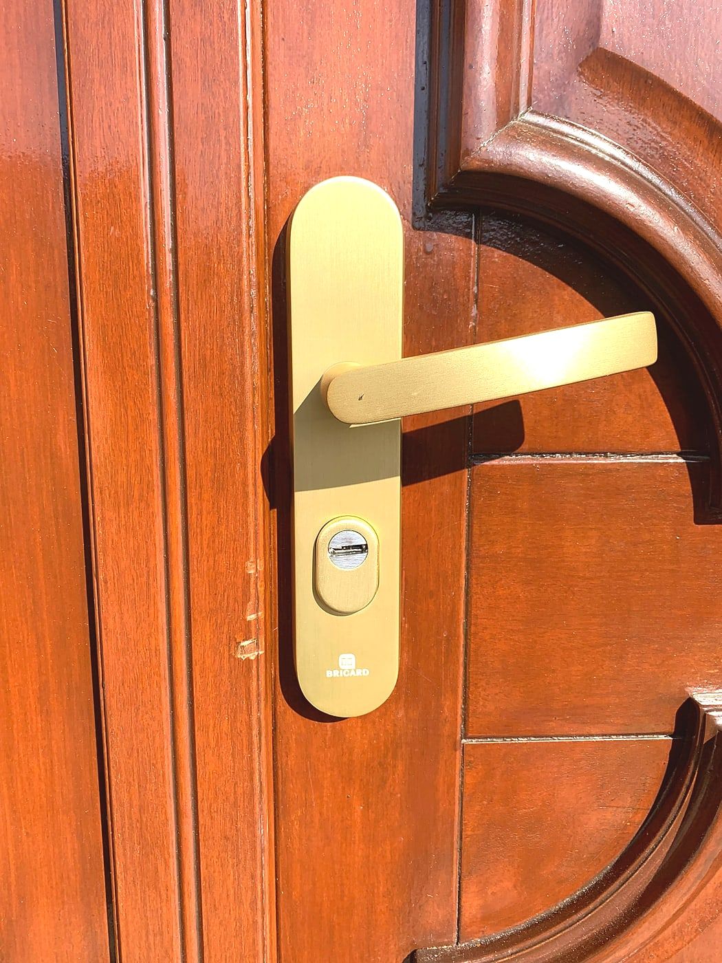 Gold handle on a wooden front door