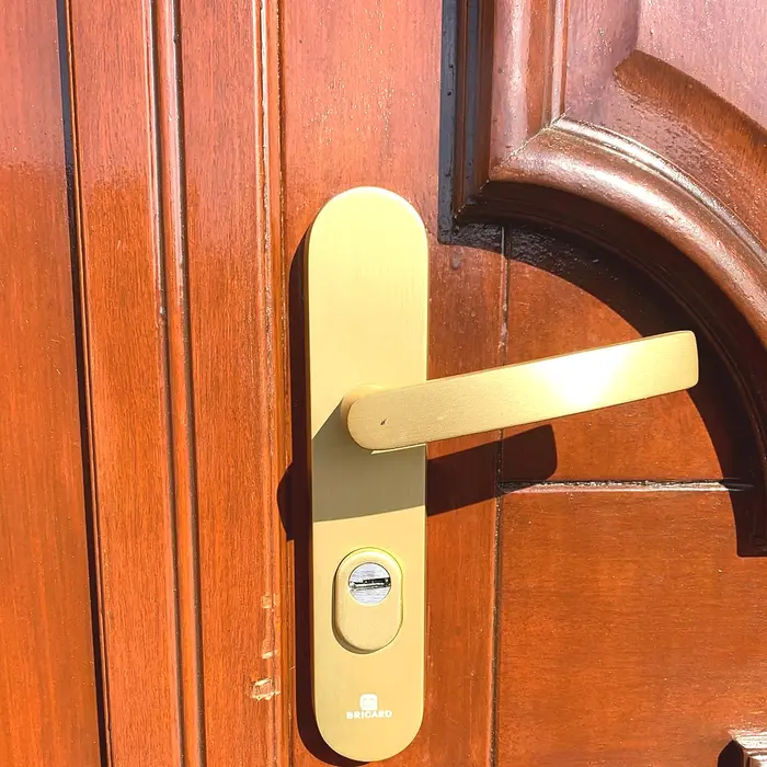 Gold handle on a wooden front door