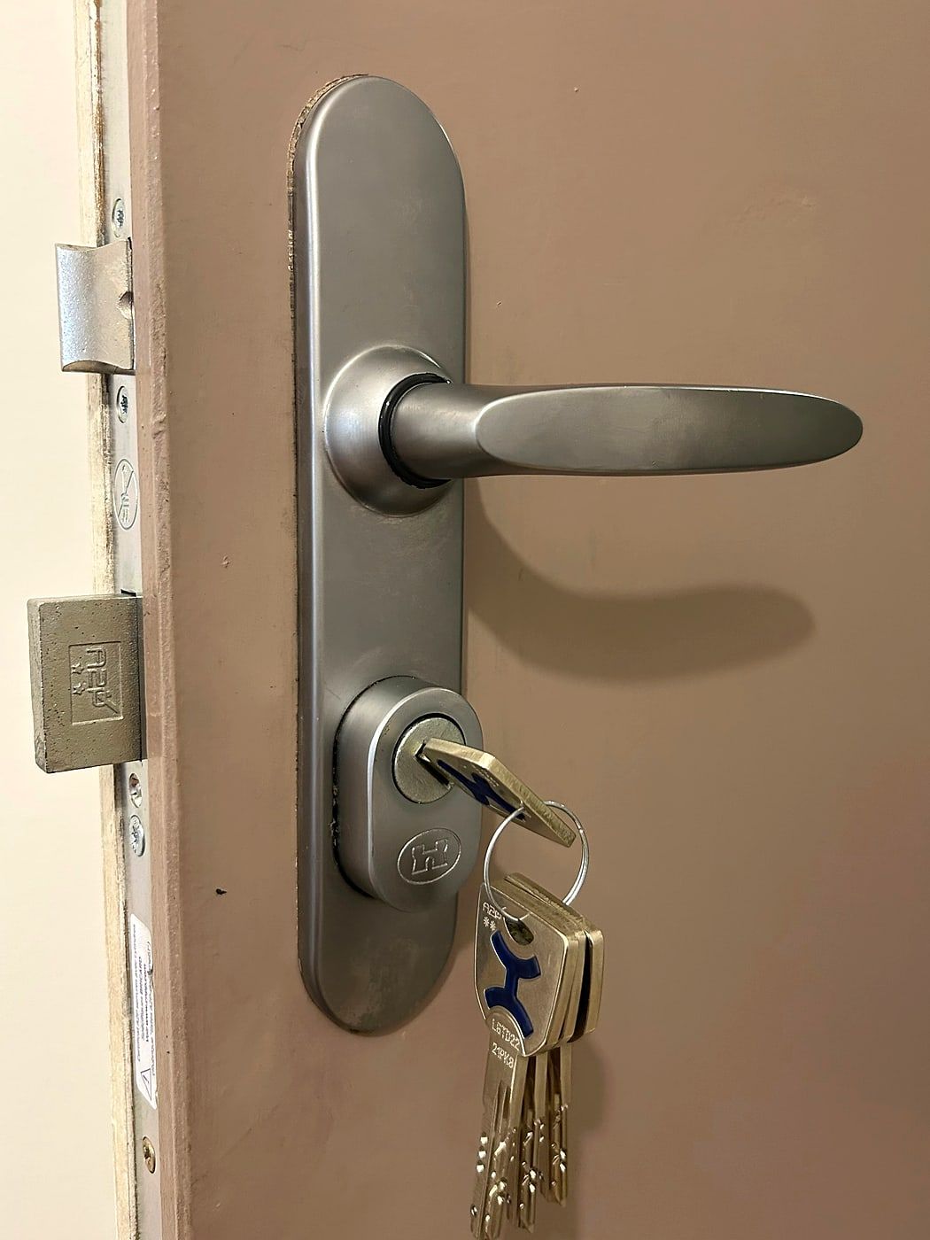 Metal handle and keys on a front door