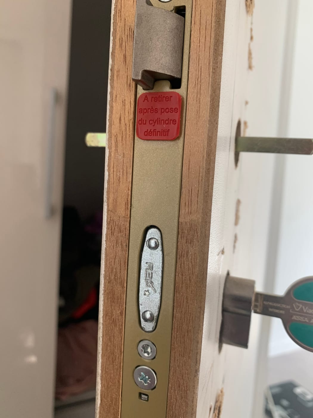 Edge of an open wooden door, metal parts set into it