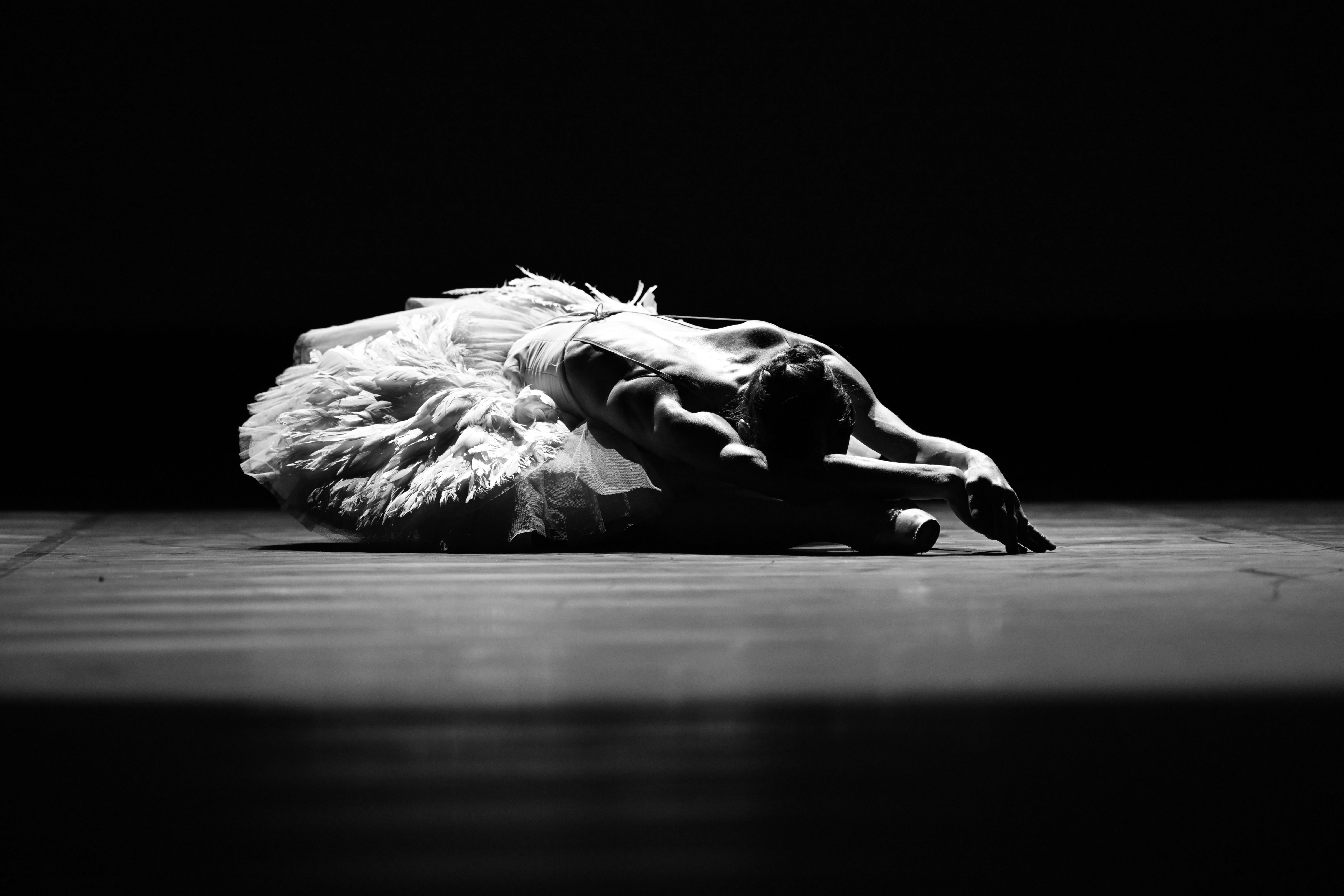 The swan - Black & White 