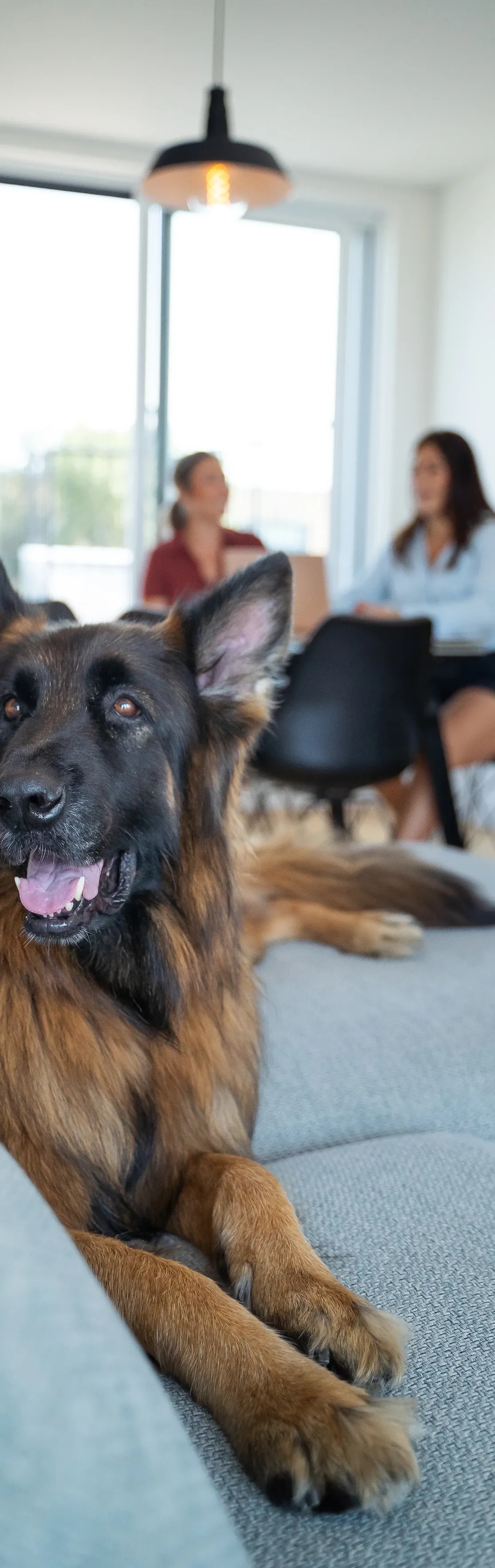 Sell with Mara Group