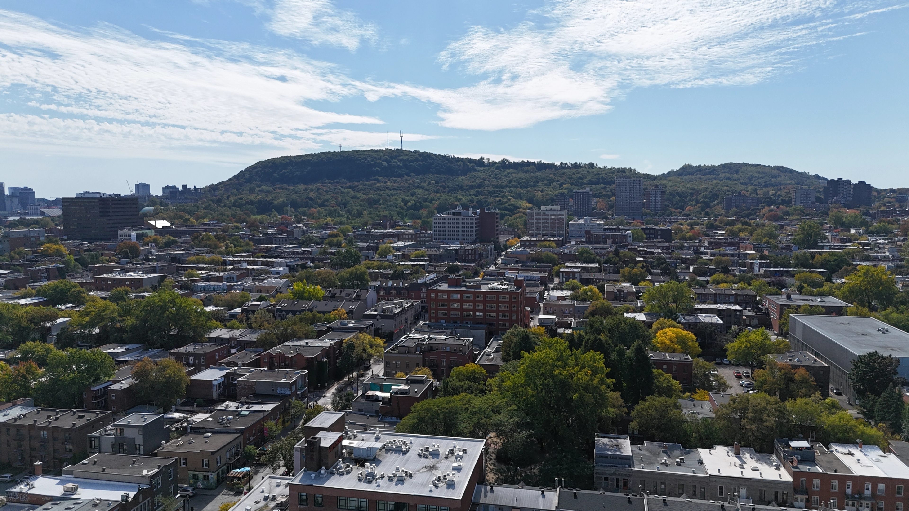 Radu Audrey courtier immobilier résidentiel montreal