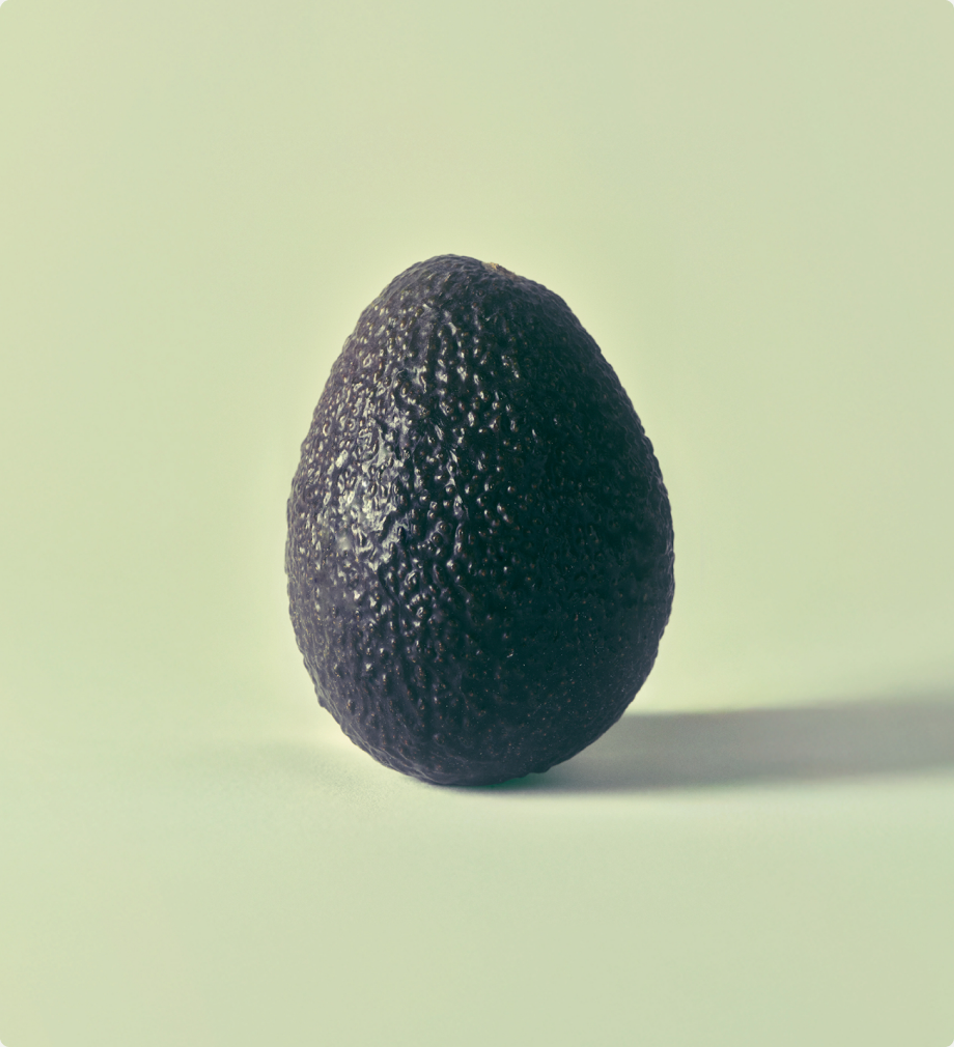 The object: still-life avocado photography