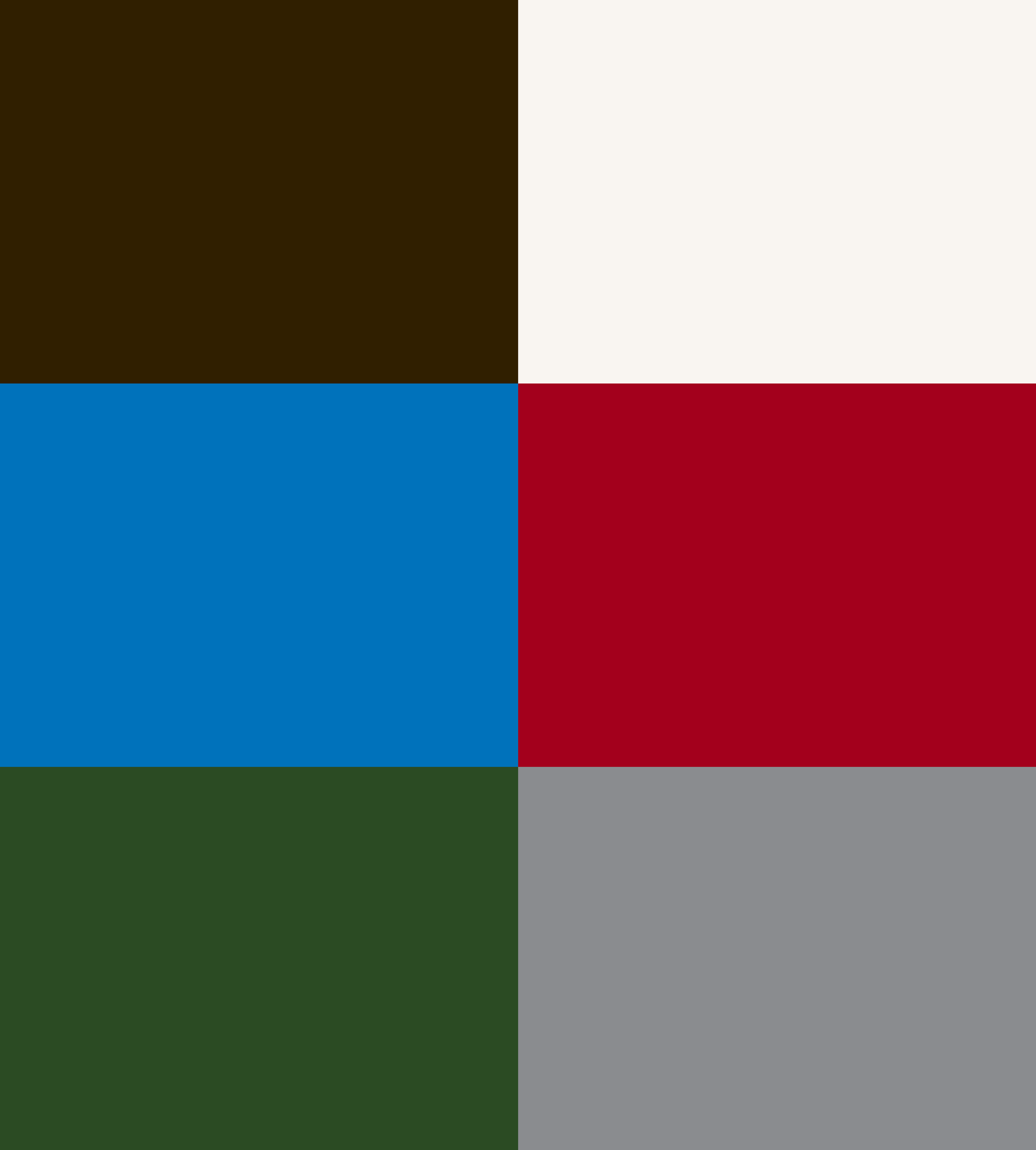 Syntetica color palette