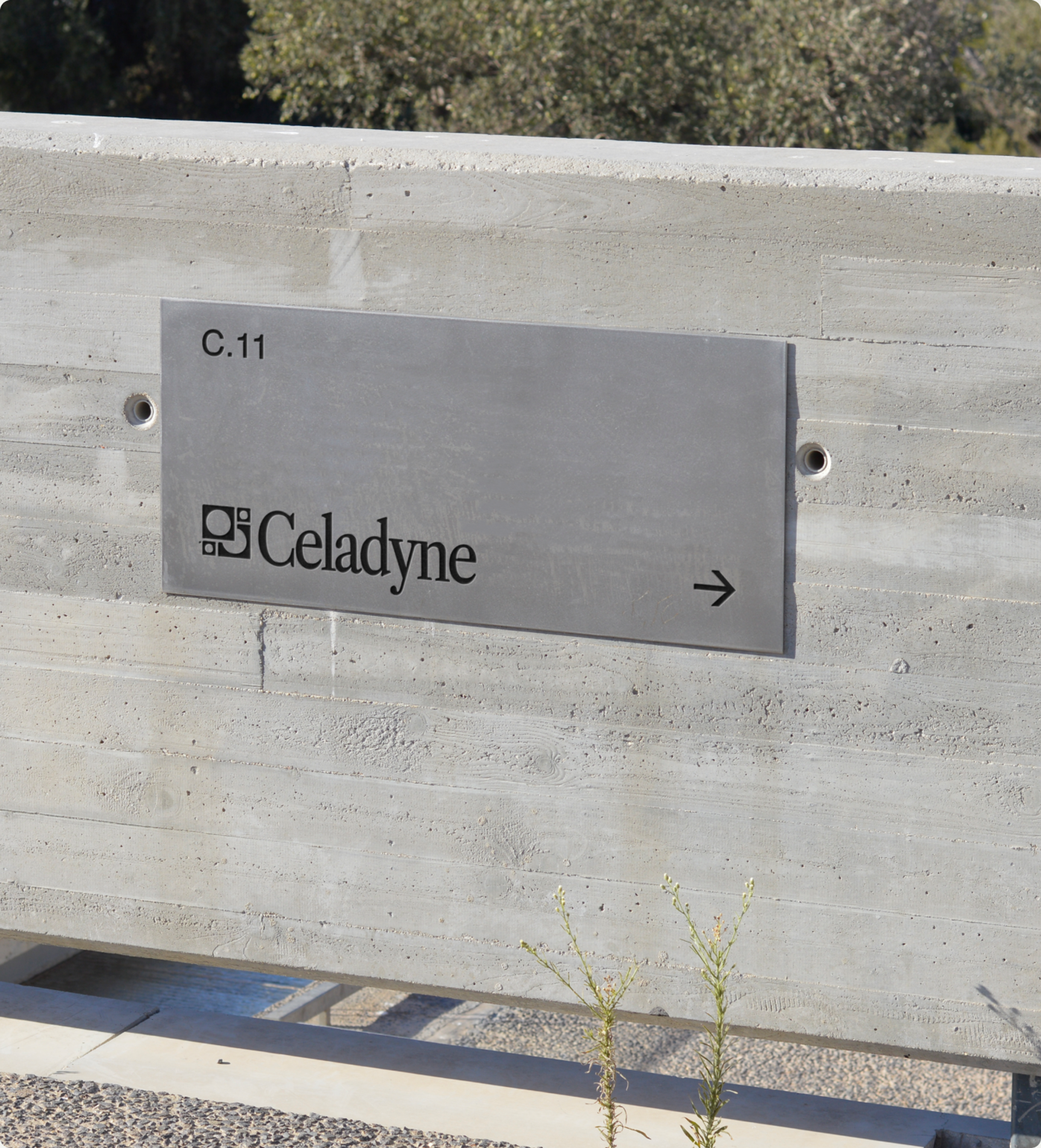 Celadyne brand application