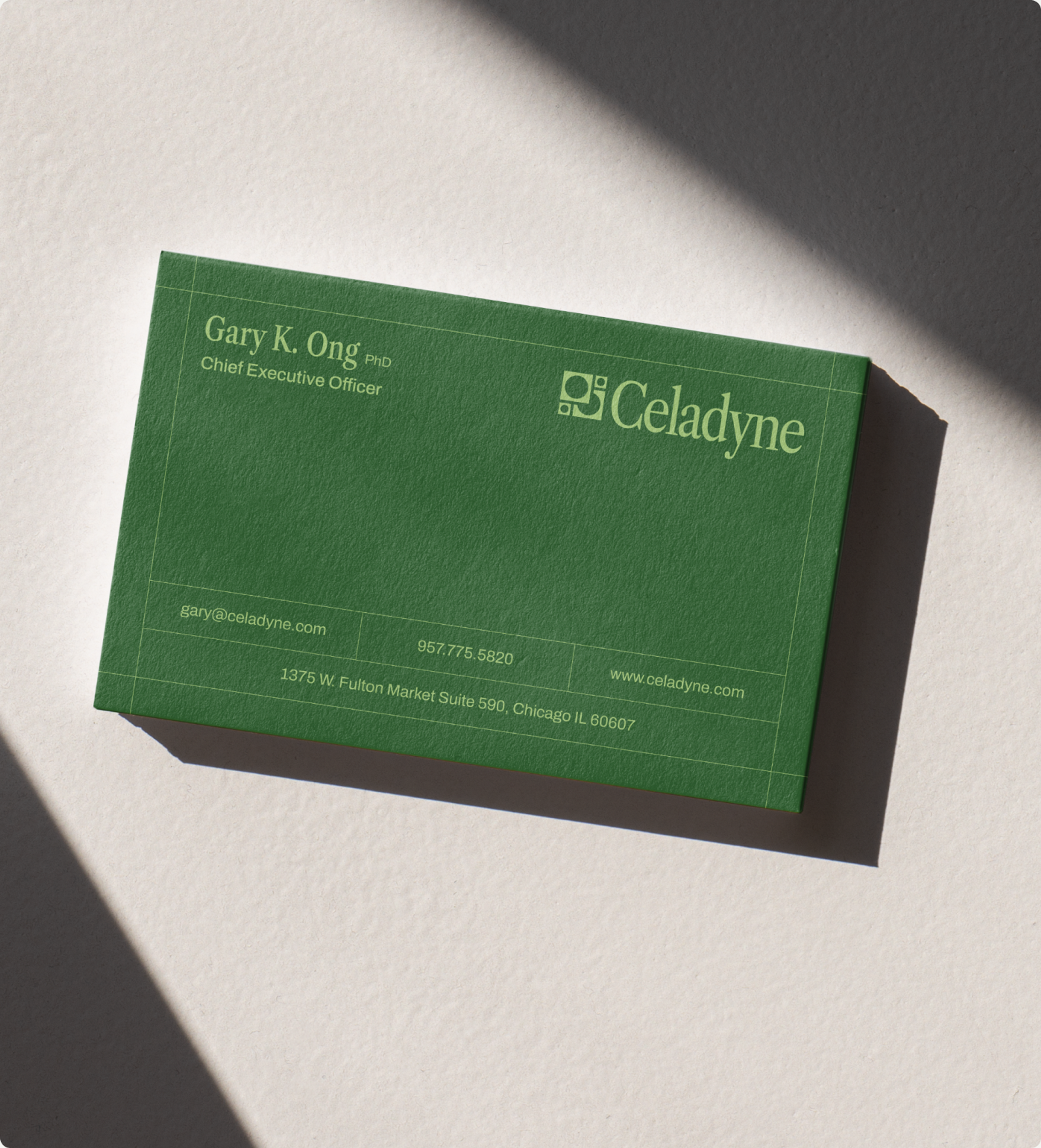 Celadyne collateral