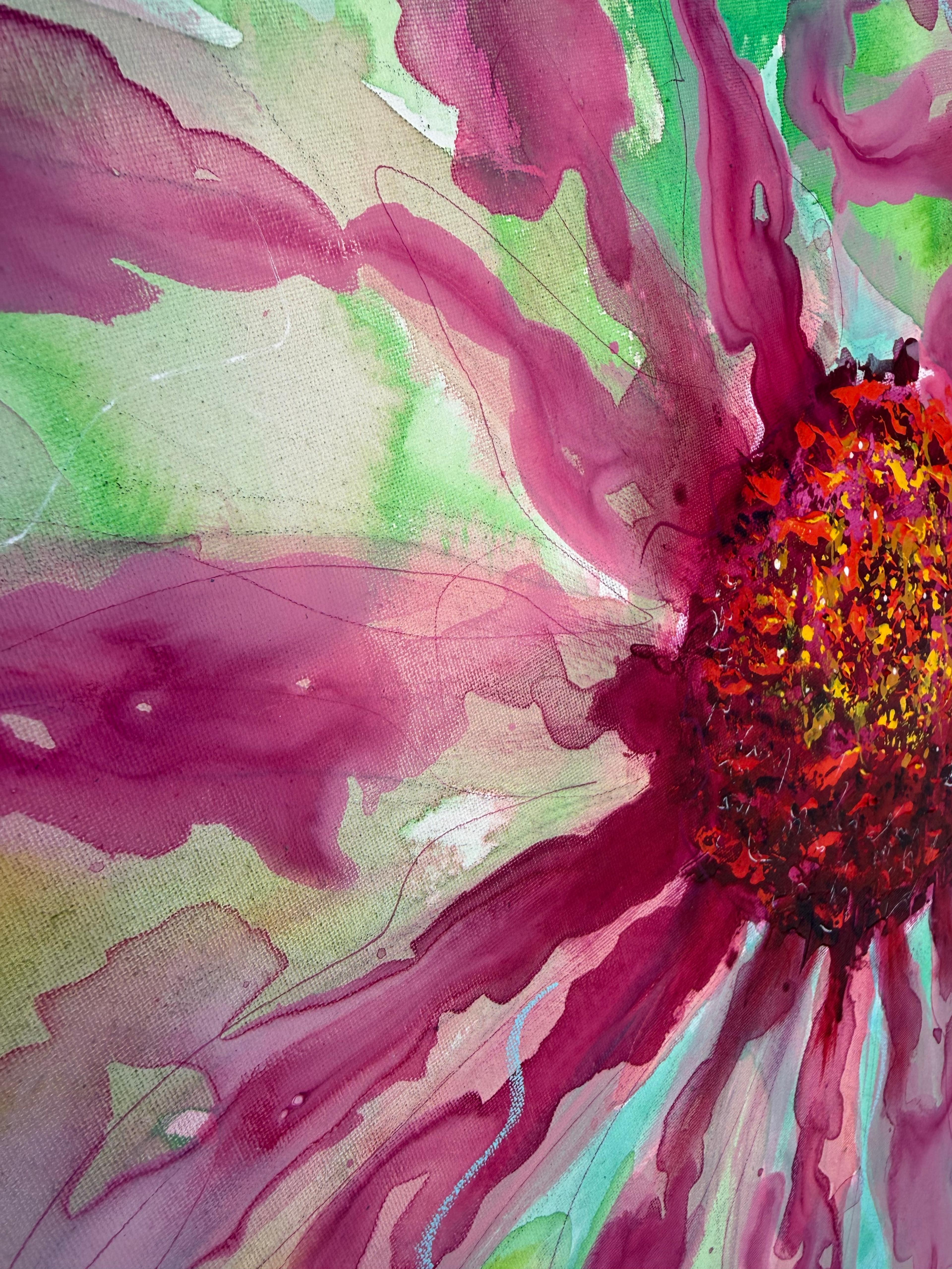 Echinacea, photo 2 of 4