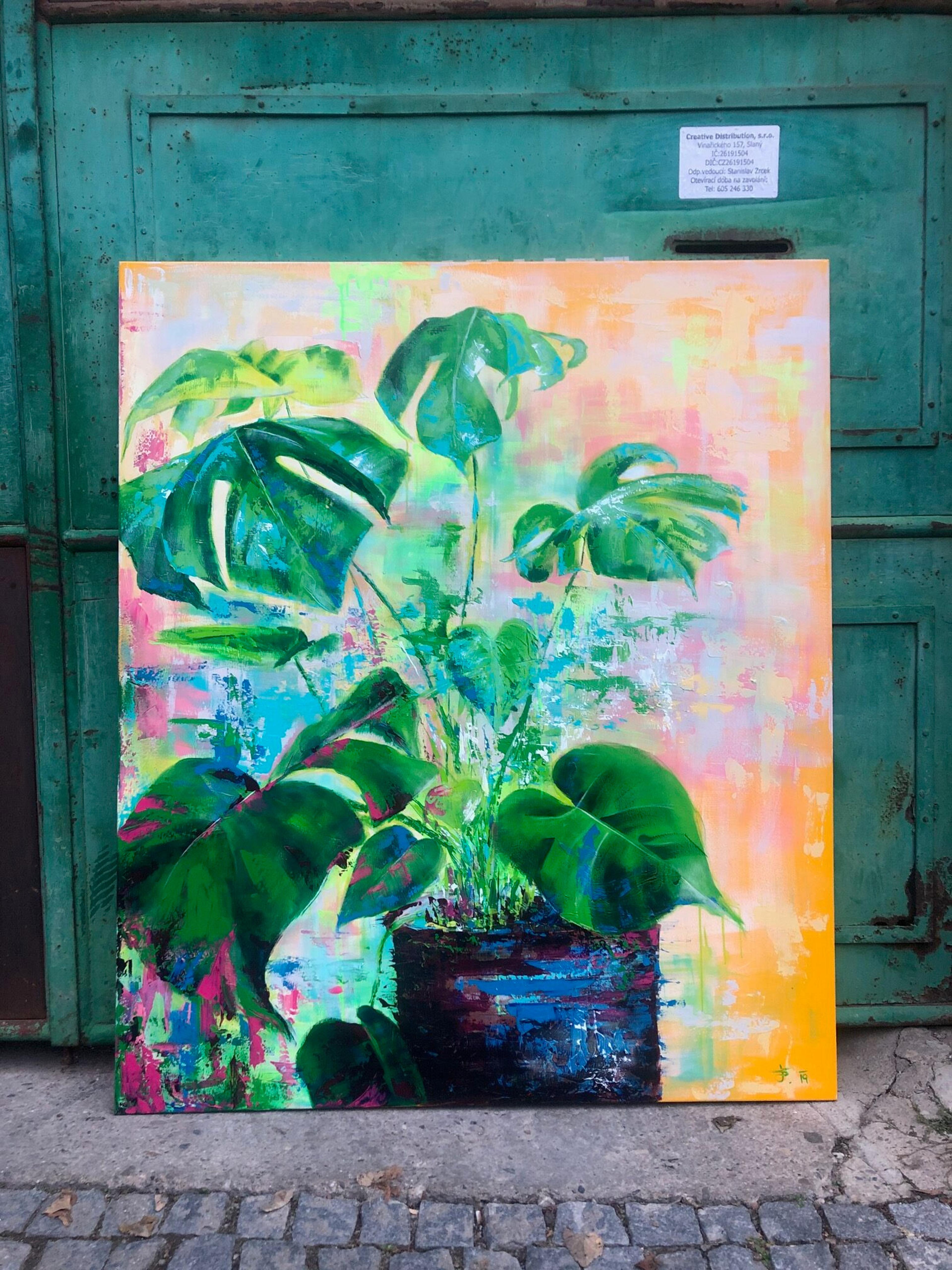 Monstera