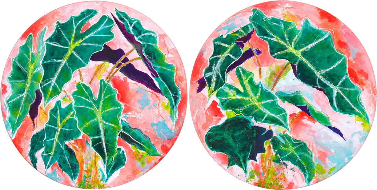 Alocasia Polly
