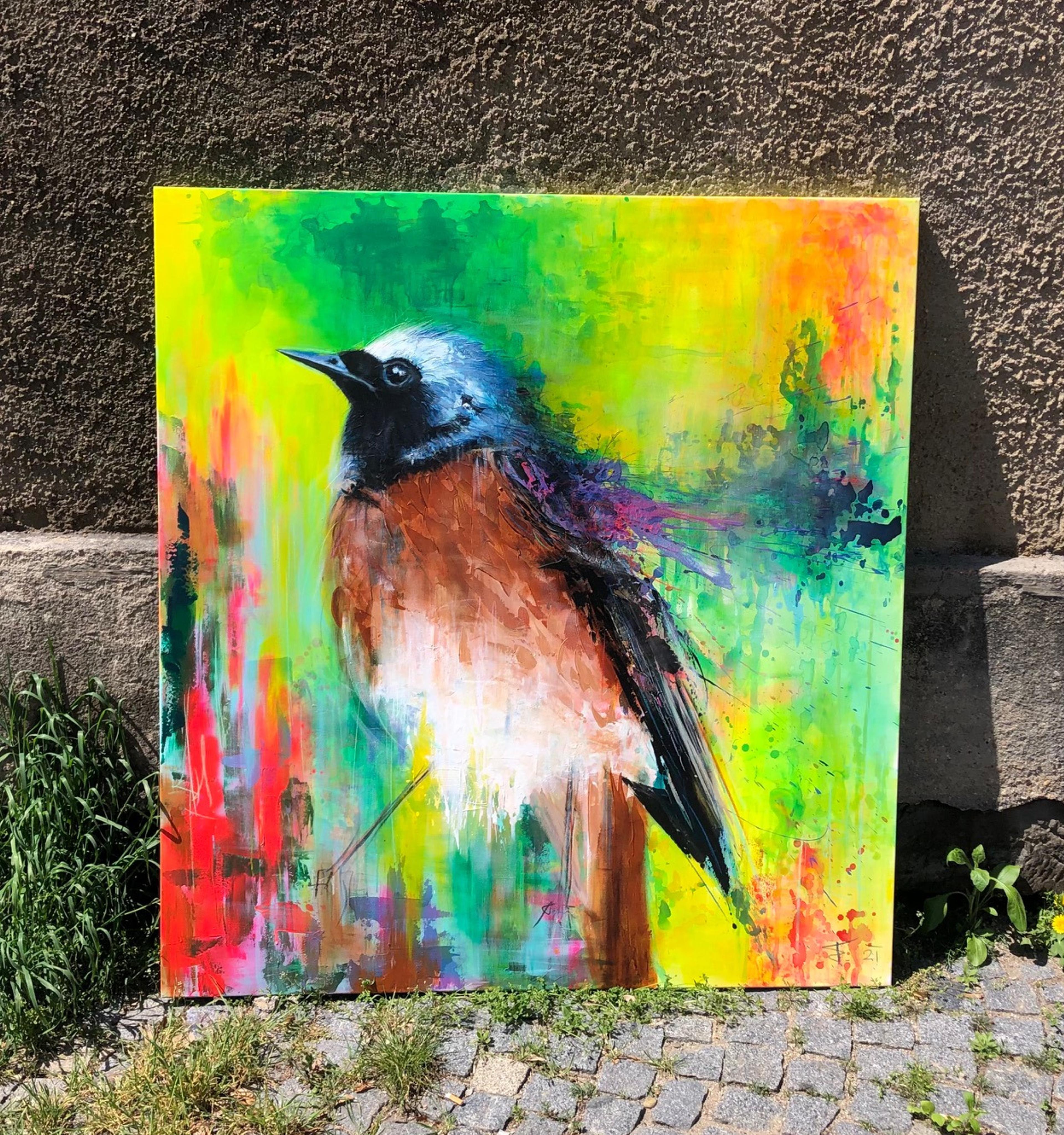 Redstart