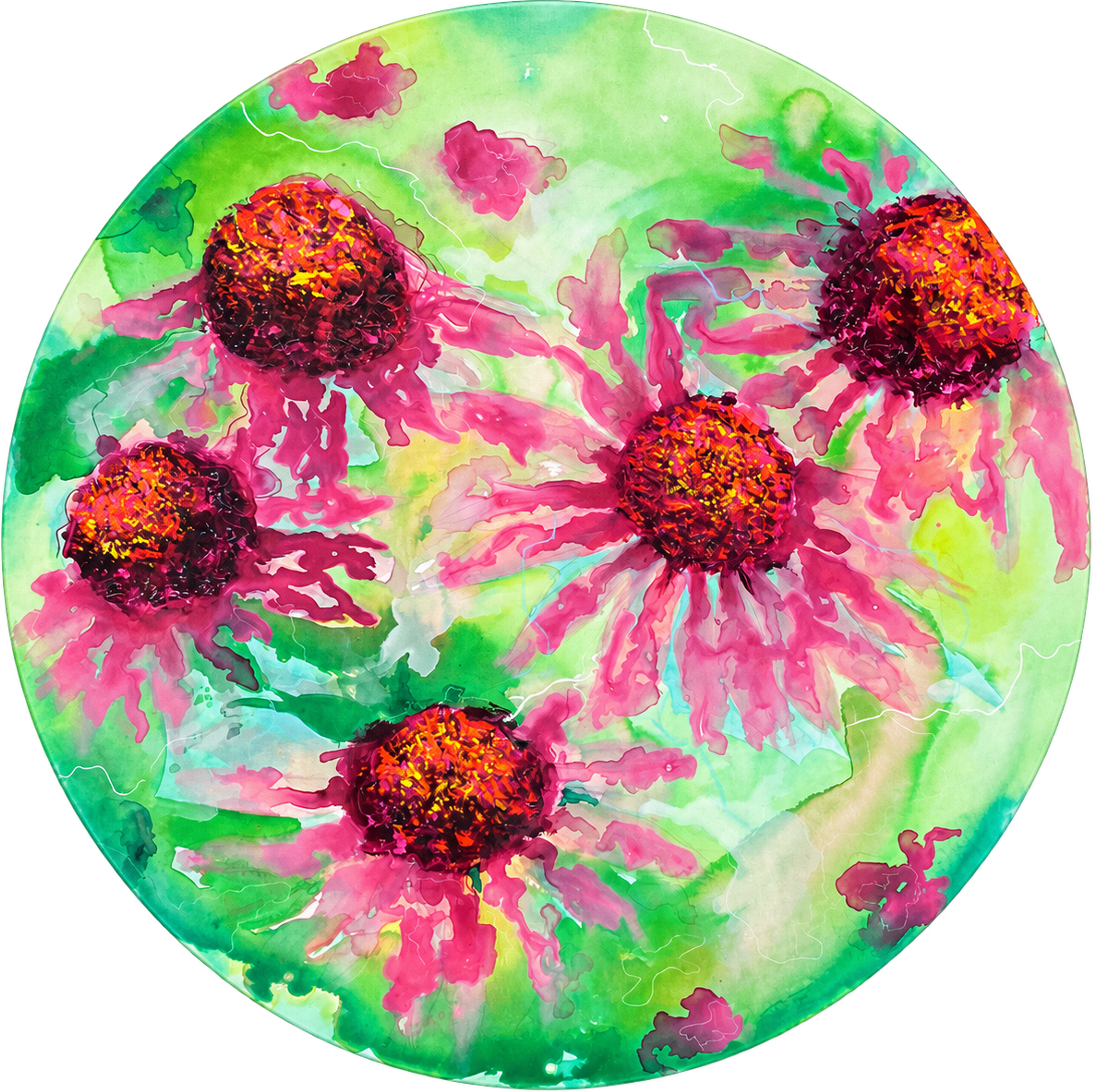 Echinacea, photo 1 of 4