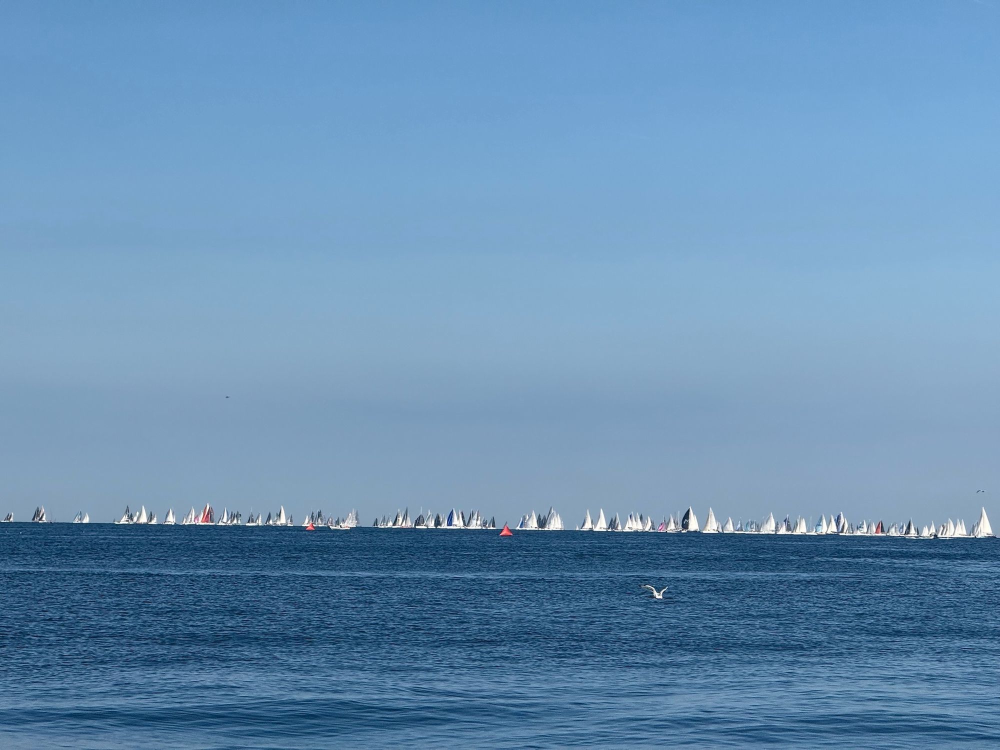 The Barcolana start line, a long row of sails on the horizon