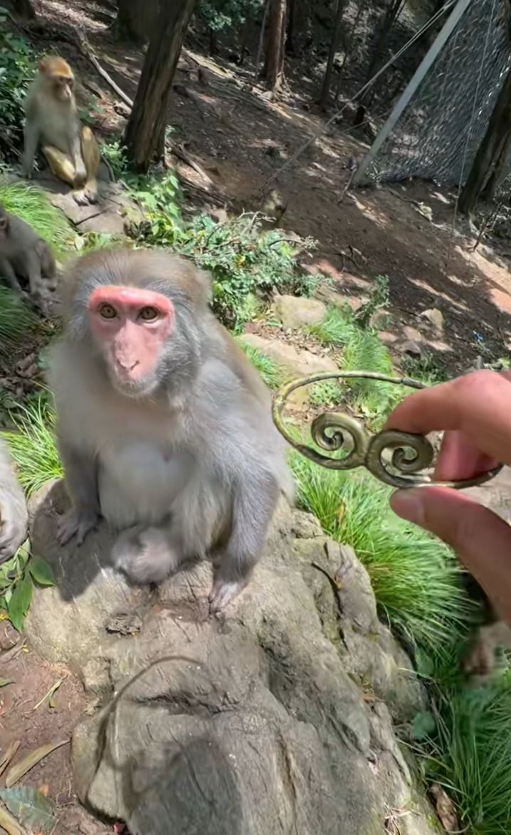 Tiktok Project Title 2