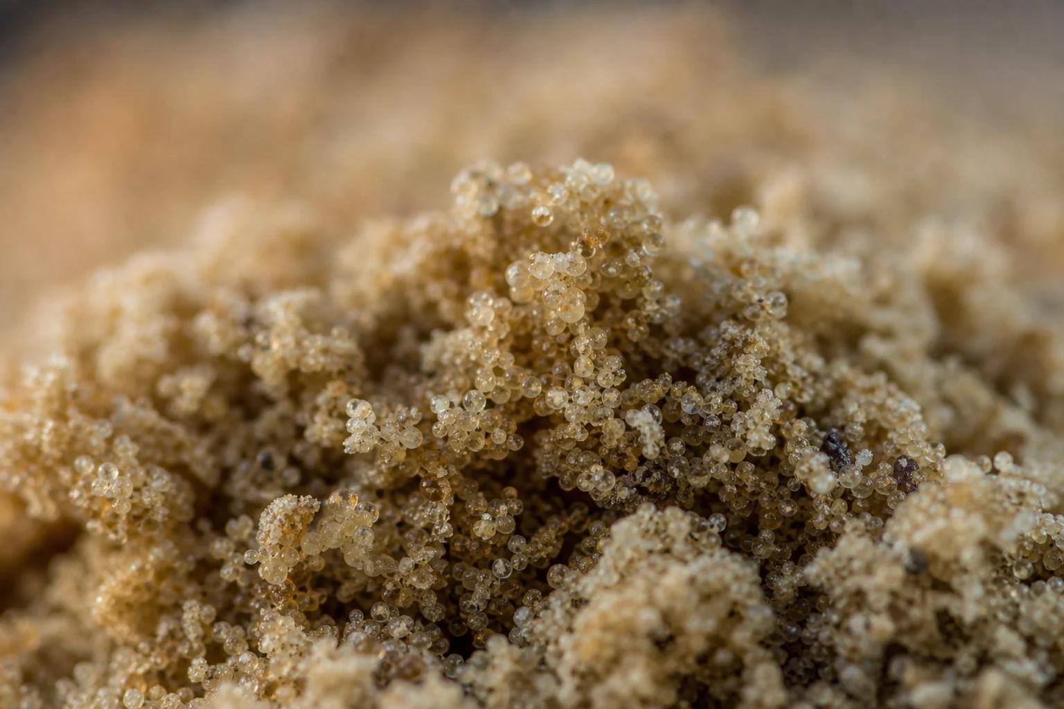 Extreme macro of cannabis kief showing individual trichome heads