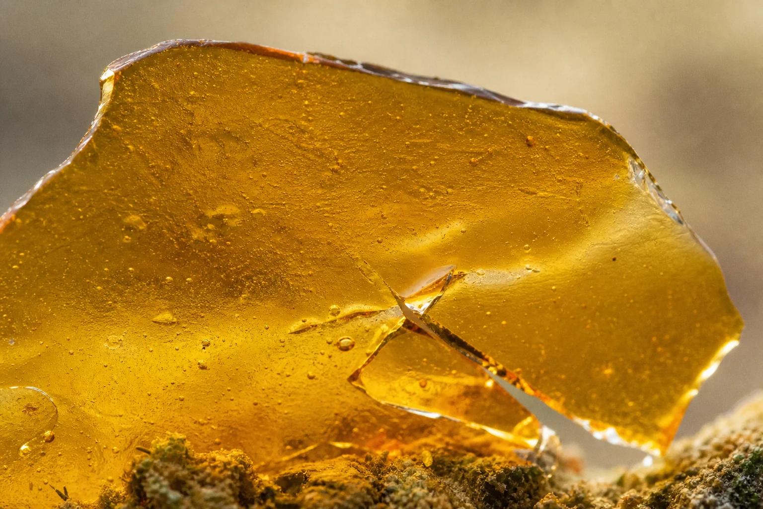 Close-up of brittle amber cannabis shatter texture