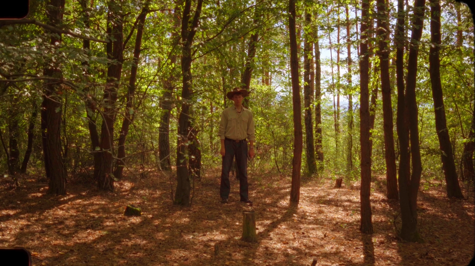 A lone figure stands among the trees of a sunlit forest.