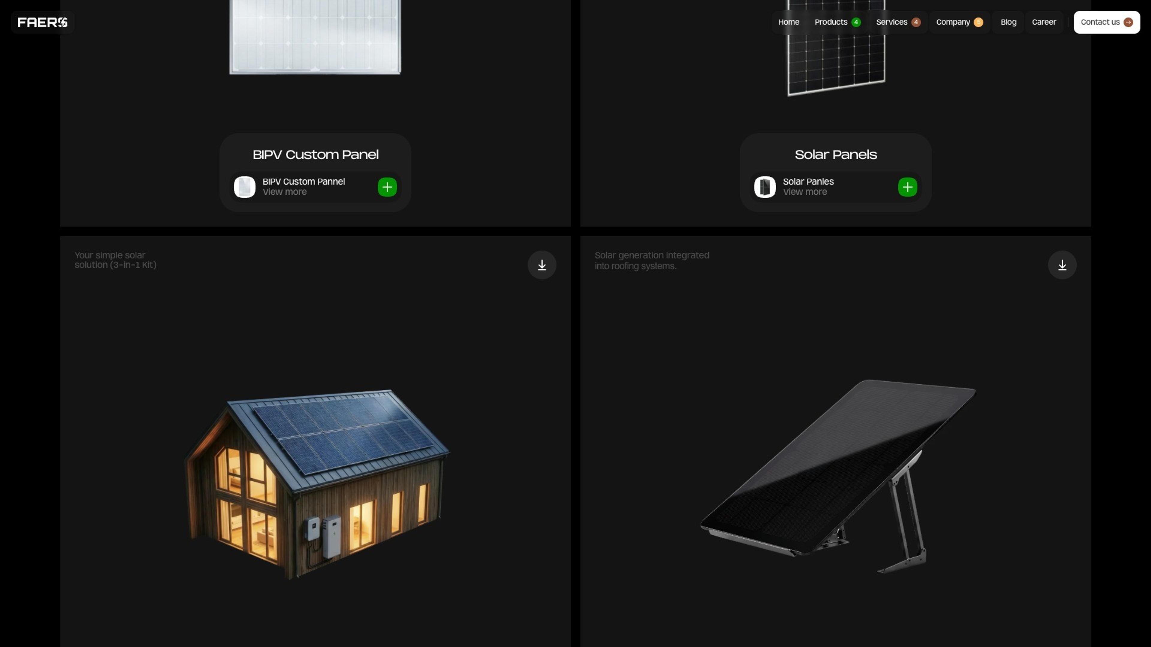 FAERS website, desktop screen 6