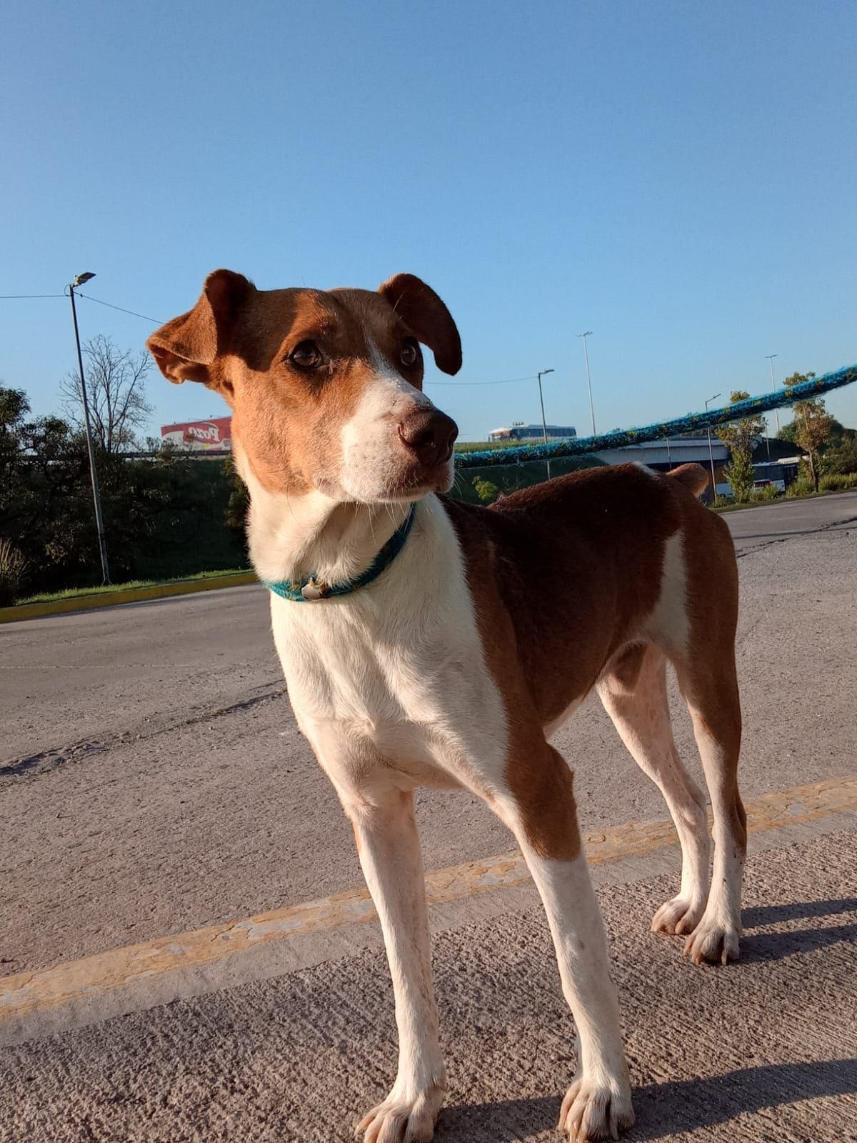 Foto 2 de Teo