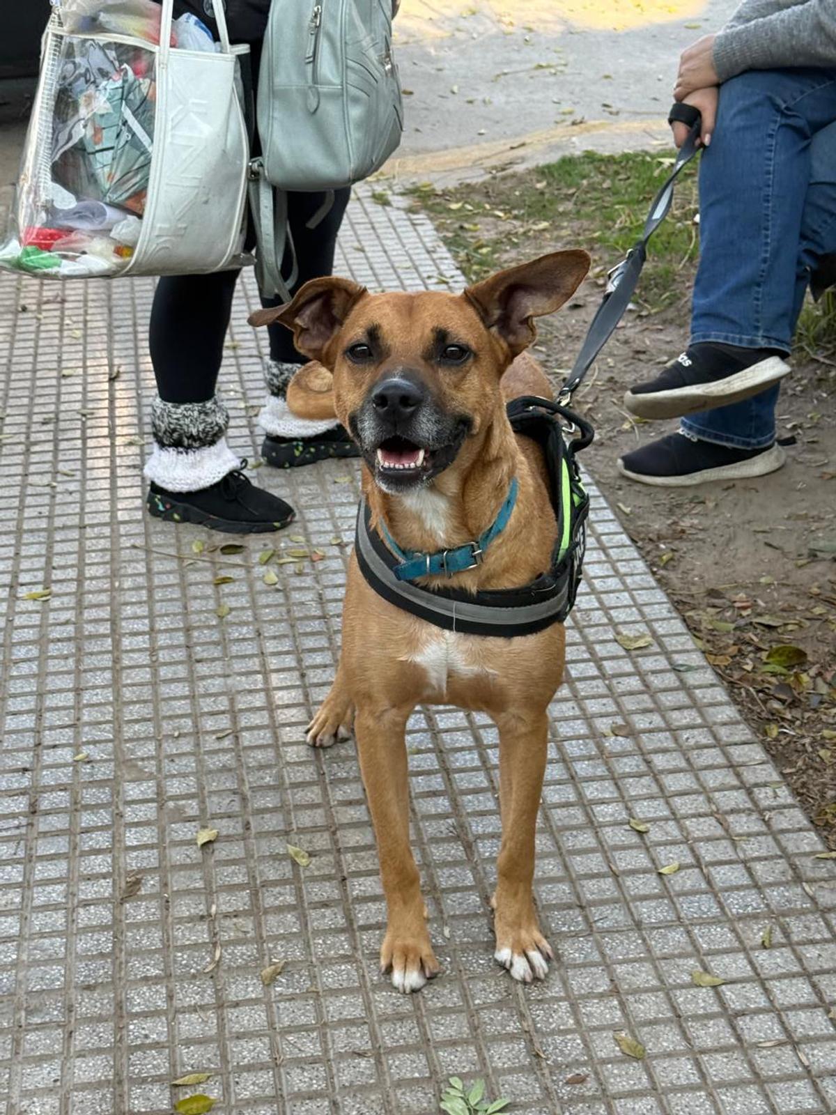 Foto 2 de Titan