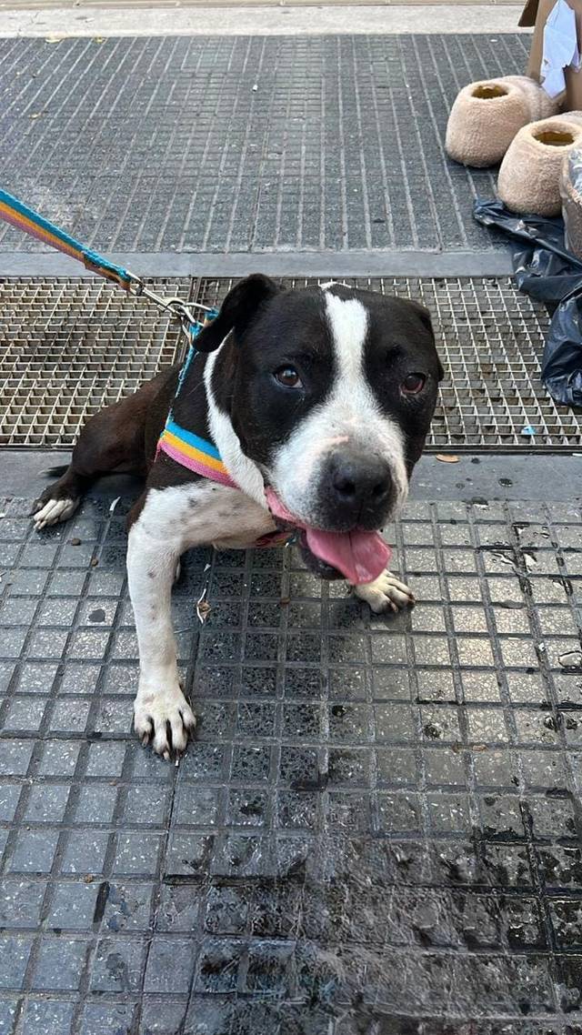 Foto de Malena