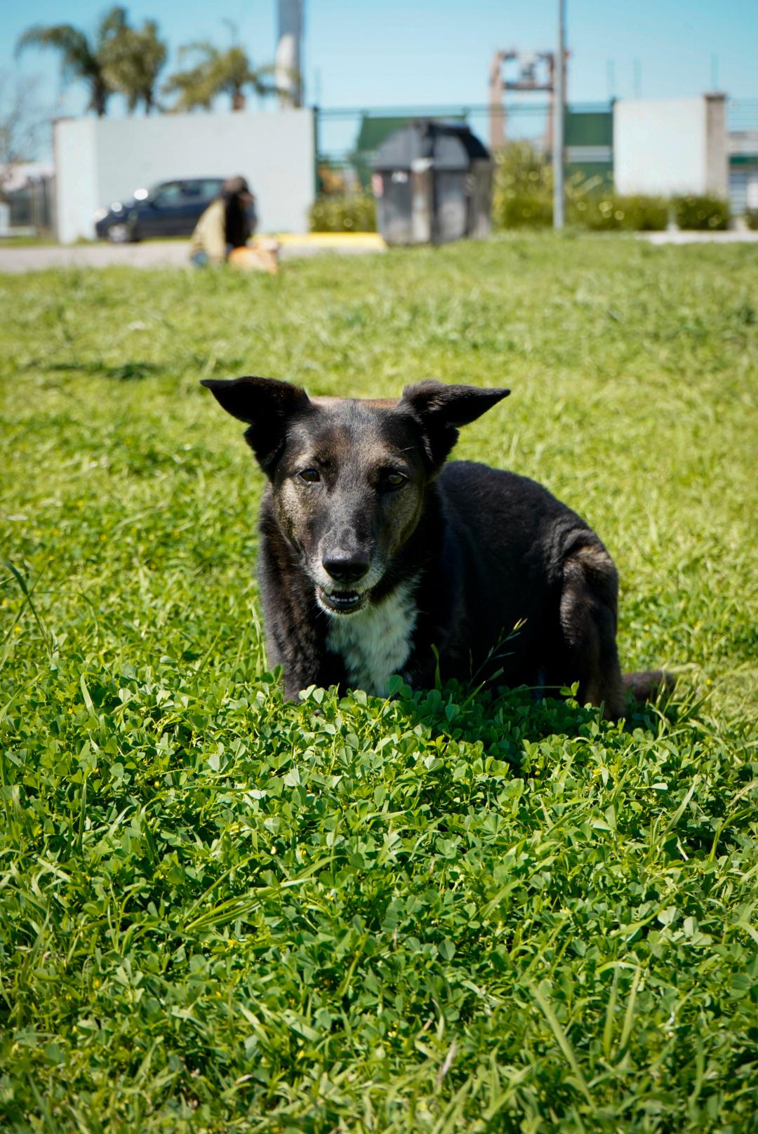 Foto 1 de Max