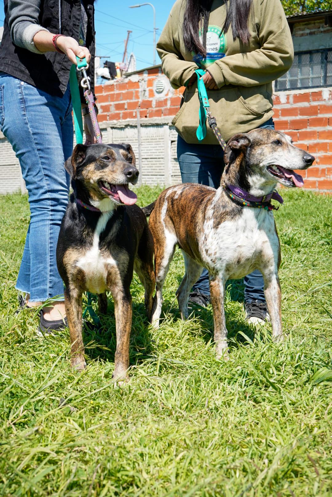 Foto 1 de Charlotte y Pampita