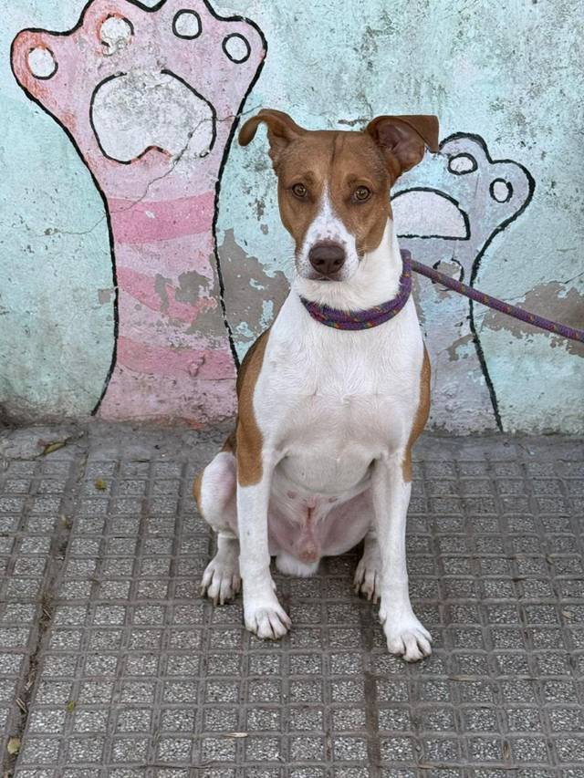 Foto de Teo