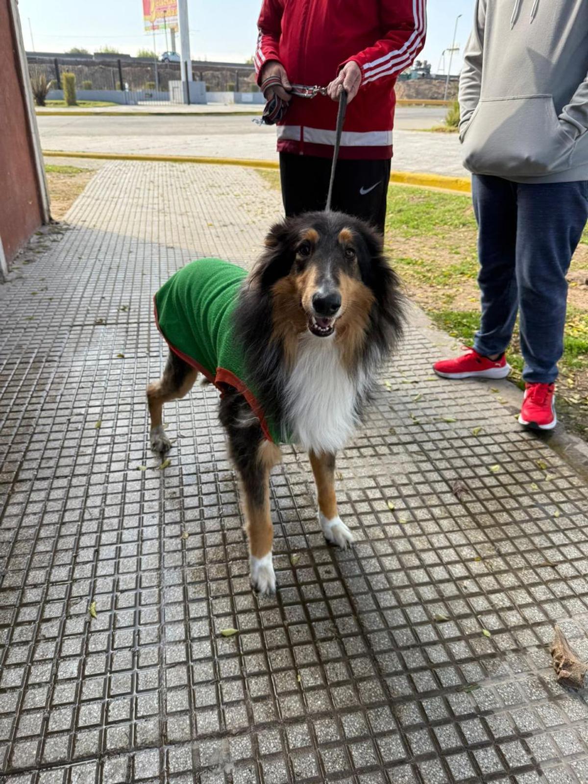 Foto 2 de Prodan