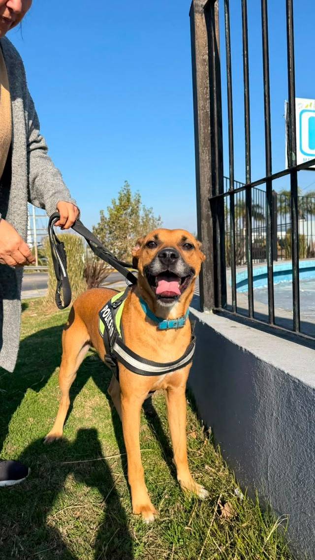 Foto de Titan