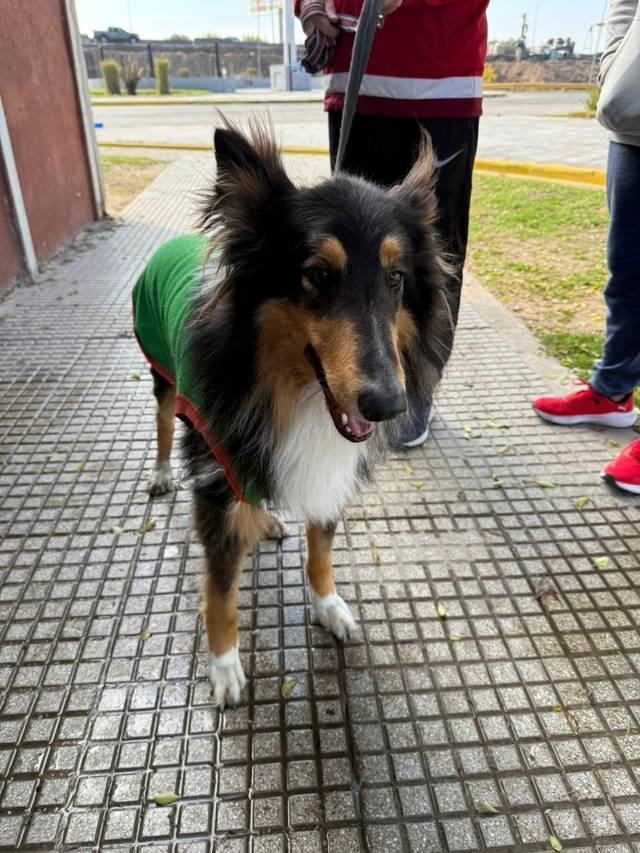Foto de Prodan