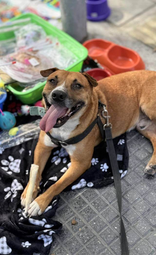 Foto de Thor 