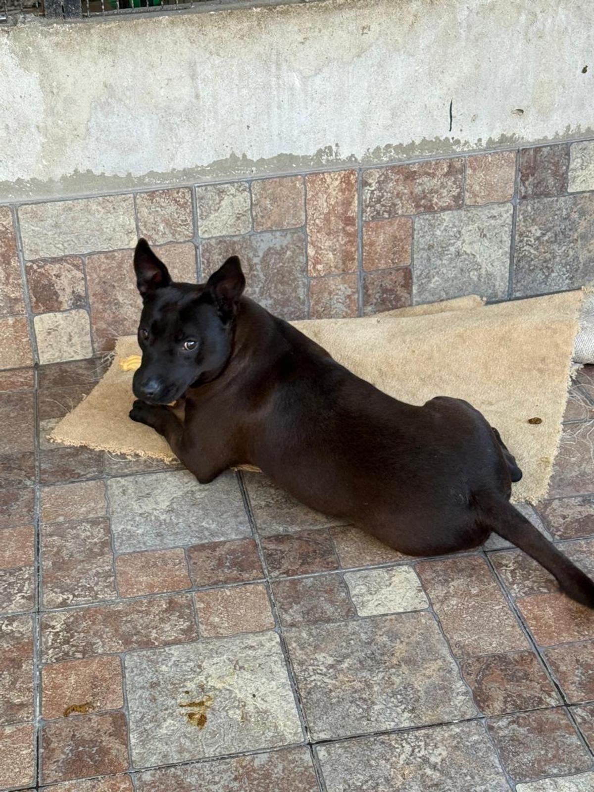 Foto 1 de Super
