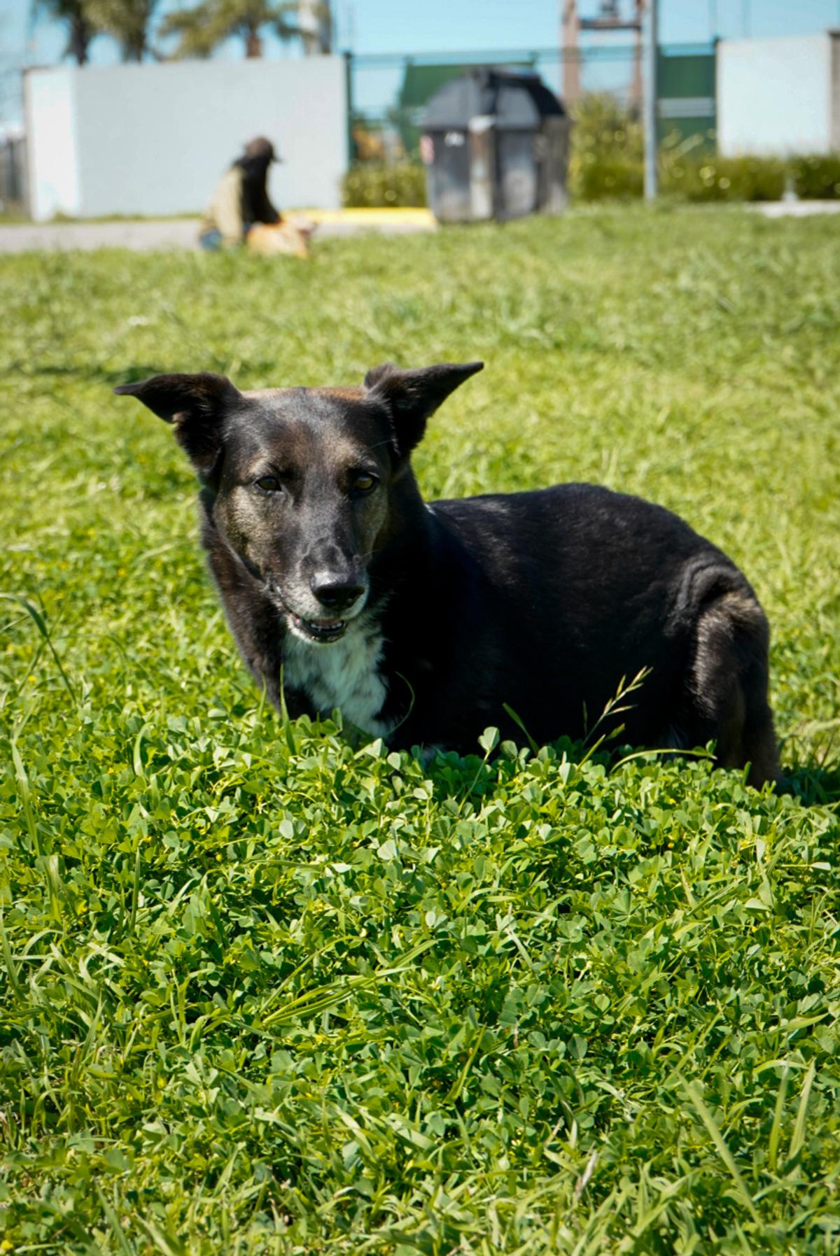 Foto 2 de Max