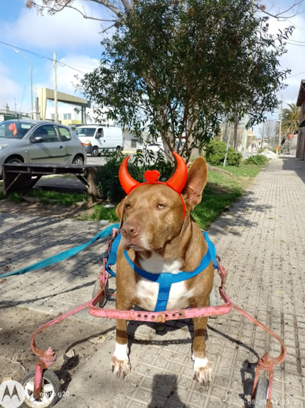 Foto 2 de Choco