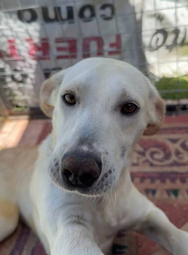 Foto de Giselle