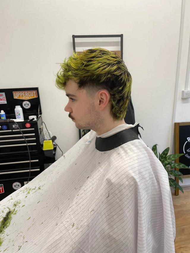 Green mullet with faded sides