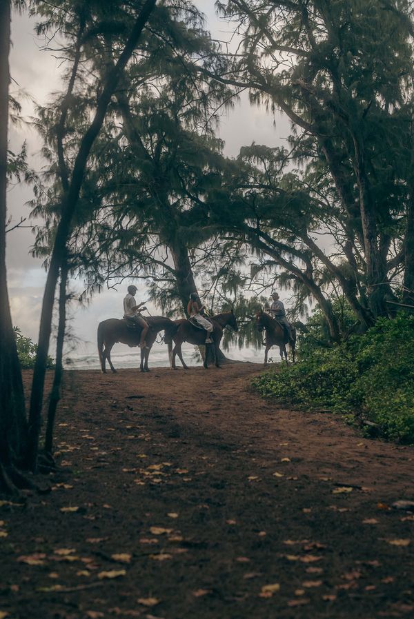 The Ritz-Carlton Turtle Bay
