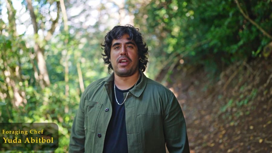 Chef Yuda Abitbol — Foraging & Cooking