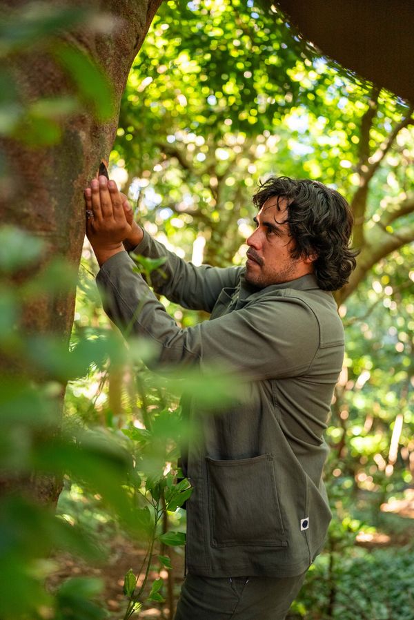 Chef Yuda Abitbol examining a tree while foraging.