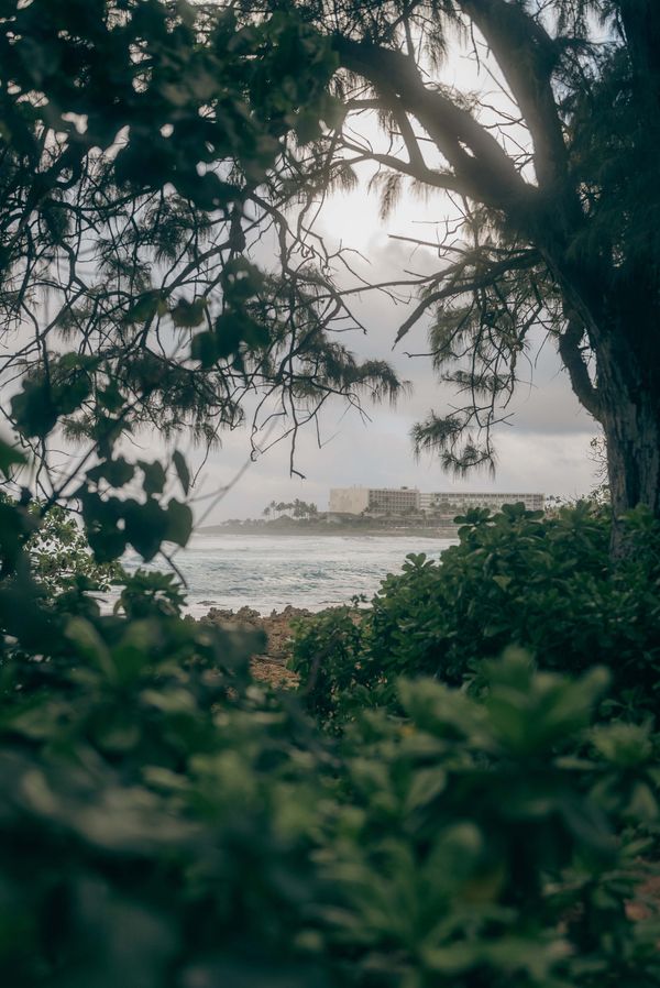 The Ritz-Carlton Turtle Bay