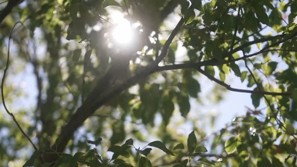 Repeak Media — Wedding Films