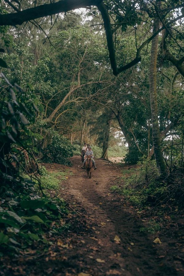 The Ritz-Carlton Turtle Bay — hospitality, travel, lifestyle photography by Repeak Media