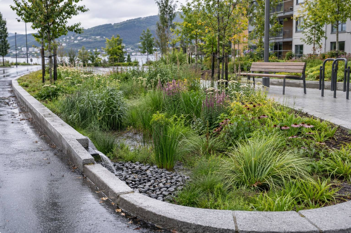 Regnbed/blågrønn infrastruktur i norsk bymiljø.