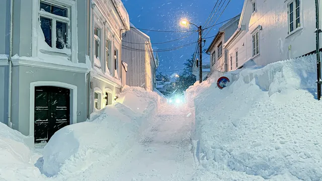 Foto: Arendal kommune/ Mona Hauglid