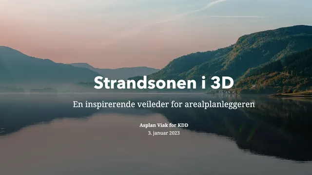 Skjermdump fra veilederen.