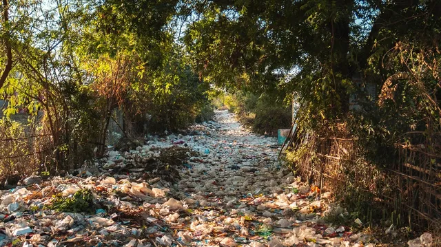 Illustrasjonsbilde: pexels.com