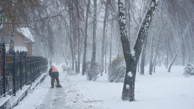 Arbeid i park året rundt